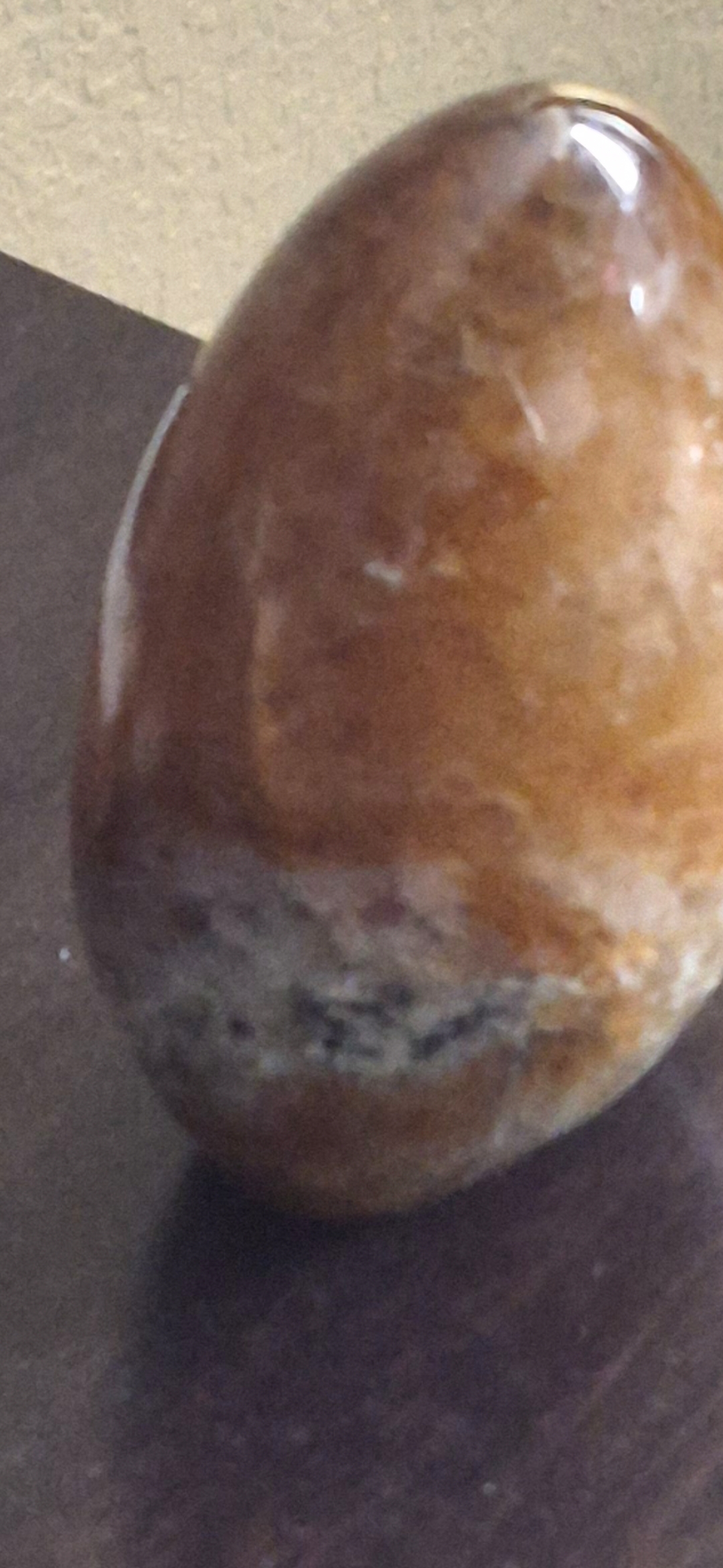 A polished stone egg, banded amber and grey white